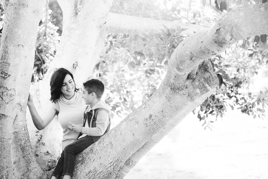 websize_new-76 copy 2